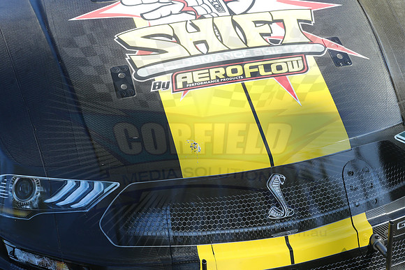 A61X4352