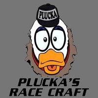 plucs-webdesign-logo