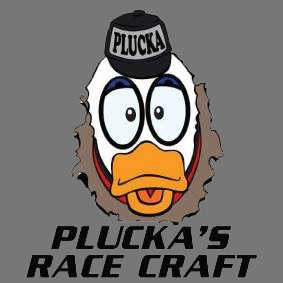 plucs-webdesign-logo