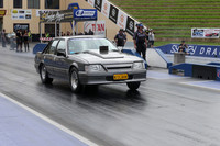 A61X1894